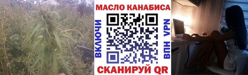 где можно купить   Пикалёво  ТГК концентрат 