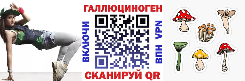 Псилоцибиновые грибы Psilocybe  mega вход  Пикалёво  где можно купить  